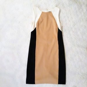 Ann Taylor Block Dress